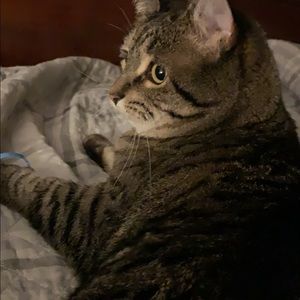 Meet your Posher, Tracy